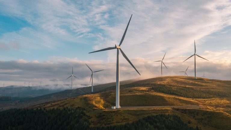 Wind farms ‘are destroying rural communities’