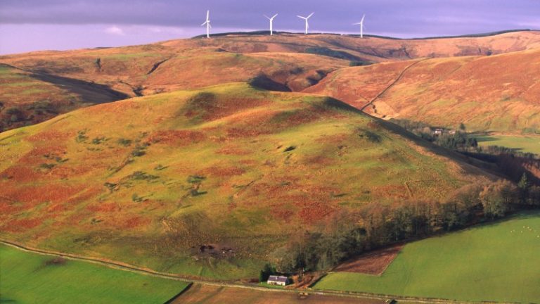 Wind farm rejected over ‘significant’ impact on environment